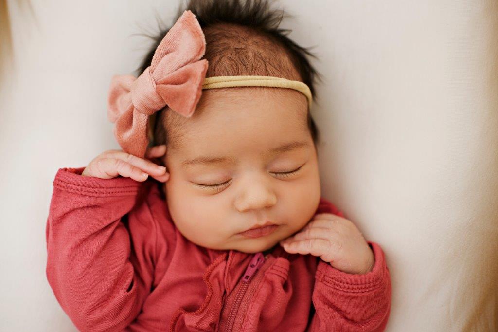 Velvet Bows - Dusty Rose – Presley Couture